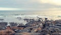 An aged bicycle by the rocky seashore Royalty Free Stock Photo