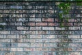 Aged Brick with Moss Texture Royalty Free Stock Photo