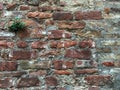 Aged brick wall, stone antique background