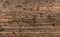 Aged brown nonpainted surface wooden plank close up texture background