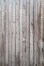 Aged brown wooden fence texture. Old English textured vertical wood wall surface background pattern with mossy planks and nails. Royalty Free Stock Photo
