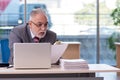 Aged businessman employee working in the office Royalty Free Stock Photo