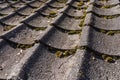 Aged closed up of tradtional japan roof tile with cold dry moss Royalty Free Stock Photo