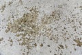 Aged concrete floor textures background