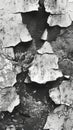 Aged concrete wall with rough stucco texture revealing cracks and imperfections in black and white Royalty Free Stock Photo