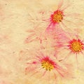Aged elegance flower paper Royalty Free Stock Photo