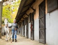 Aged farmer woman leading white horse outdoors along stables Royalty Free Stock Photo