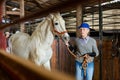 Aged female stable worker leading white horse by bridle in barn Royalty Free Stock Photo