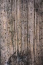 Aged gray brown nonpainted surface wooden plank close up texture background
