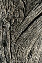 Aged gray wood macro texture for background Royalty Free Stock Photo