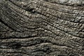 Aged gray wood macro texture for background Royalty Free Stock Photo