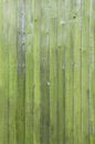 Aged green wooden fence texture. Old English textured vertical wood wall surface background pattern with mossy planks and nails. Royalty Free Stock Photo