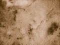 Aged grey parchment paper with burnt edges and spots .Textures or background