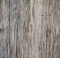 Aged grunge wood texture. Old background Weathered Shabby Vintage beach backdrop