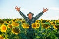 aged handsome happy screaming bearded man standing in sunflower field spreading his arms up Royalty Free Stock Photo