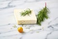 aged havarti cheese with dill sprigs on a marble surface Royalty Free Stock Photo