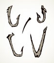 Bone Hooks. Vector drawing