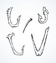 Bone Hooks. Vector drawing