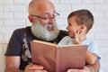 Aged man with beard with his grandson reading a book in armchair Royalty Free Stock Photo