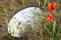 Aged mirror in the field, reflection of red poppies, grass