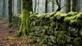 Aged moss covered stone wall