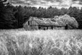 Aged old barn landscape