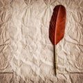 Aged paper with antique ink feather pen. Vintage style background Royalty Free Stock Photo