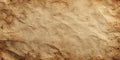 Aged Parchment Texture Authentic Background for Design Projects Royalty Free Stock Photo