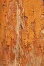 Aged peeling orange paint Royalty Free Stock Photo