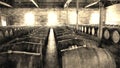 Aged photo of vintage wine barrels in Rows