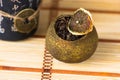 Aged pu-erh tea in a dry tangerine peel on a chinese style straw mat, selective focus