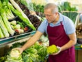 Aged salesman putting cauliflower on food stall in greengrocery