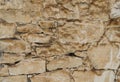 Aged shell rock Stone wall texture or background Royalty Free Stock Photo