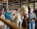 Aged farmer woman with young female assistant caring white horse in stable