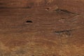 Close-up of Aged Solid Wood Slat Rustic Shabby Brown Background. Grunge Faded Wood Board Panel Structure. Royalty Free Stock Photo