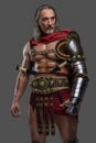 Aged but still mighty muscular gladiator with long grey hair and beard