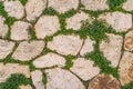 Aged stone brick wall with green ivy leaf in Matera, Italy using Royalty Free Stock Photo