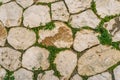 Aged stone brick wall with green ivy leaf in Matera, Italy using Royalty Free Stock Photo