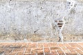 Aged street wall and floor background, texture Royalty Free Stock Photo