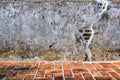 Aged street wall and floor background, texture