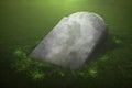 An aged, unnamed blank gravestone leans to the ground, surrounded by overgrown greenery, symbolising the fleeting nature of memory