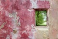 Aged weathered pink wall window beech forest Royalty Free Stock Photo