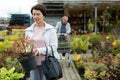 Aged woman customer buying plants in open-air market