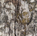Aged wood texture background Royalty Free Stock Photo