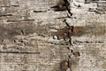 Aged wood wall Royalty Free Stock Photo