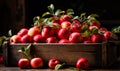 An aged wooden crate is being used to pick up apples. A wooden crate filled with lots of red apples Royalty Free Stock Photo