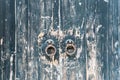 Aged wooden door Royalty Free Stock Photo