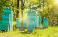 Aged Wooden Hives