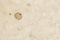 Aged and worn paper texture, grunge background, dirt surface with spots, scratches. Vintage background Royalty Free Stock Photo