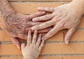 Aged and wrinkled hands with young hands